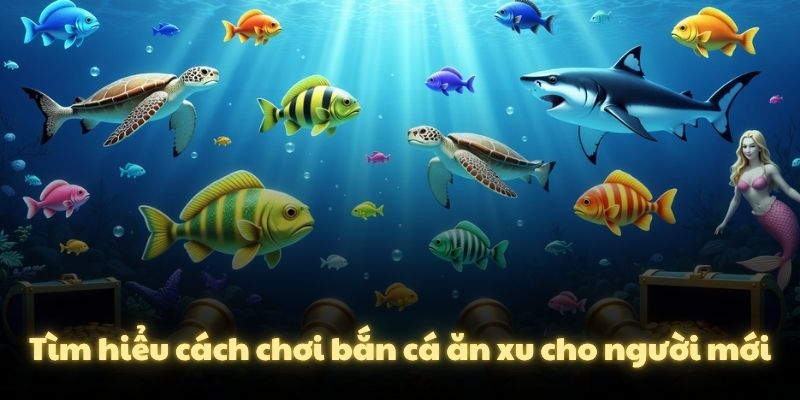Tìm hiểu cách chơi bắn cá ăn xu cho người mới