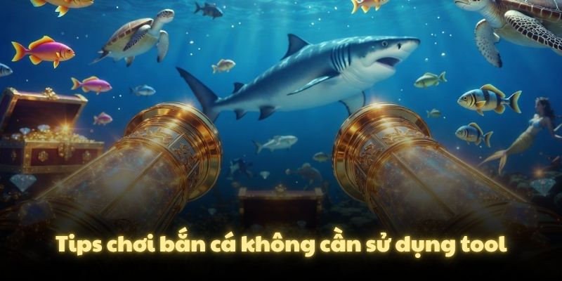 Tips chơi bắn cá không cần sử dụng tool