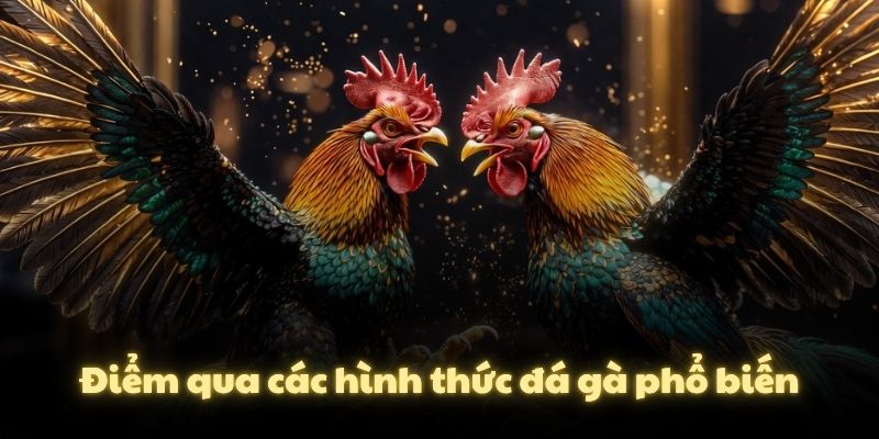 Điểm qua các hình thức đá gà phổ biến