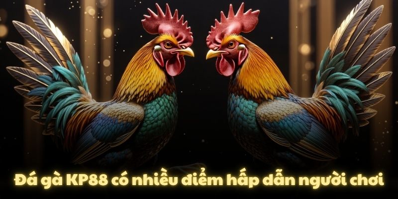 Đá gà KP88 có nhiều điểm hấp dẫn người chơi